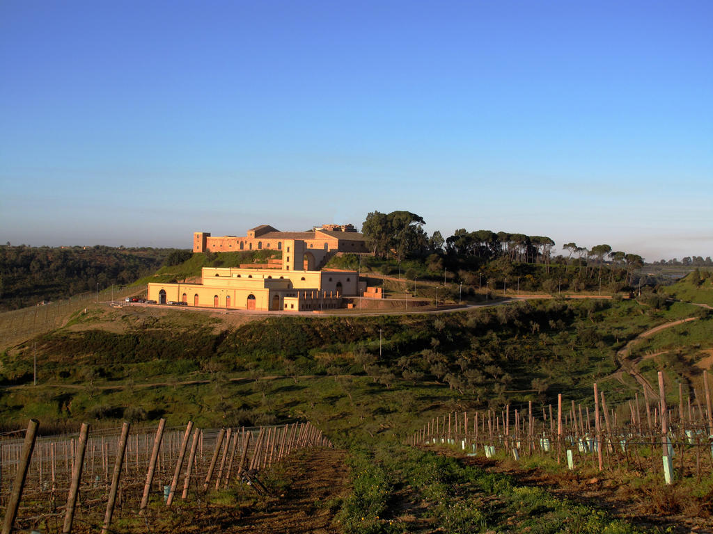 Alloggio per agriturismo Wine Relais Feudi Del Pisciotto Niscemi
